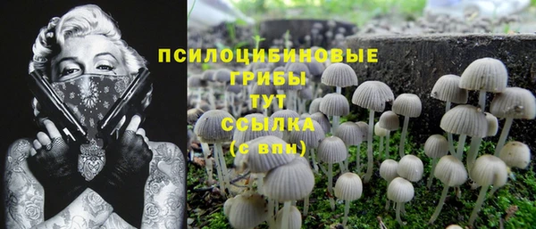 mdpv Елизово