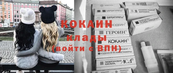 твердый Богородск