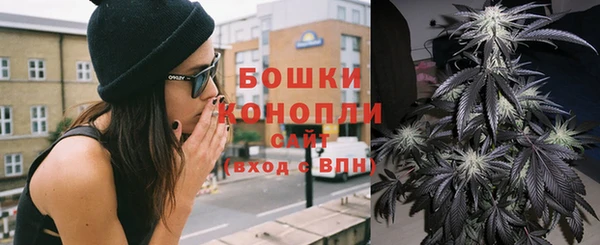 гидра Богданович