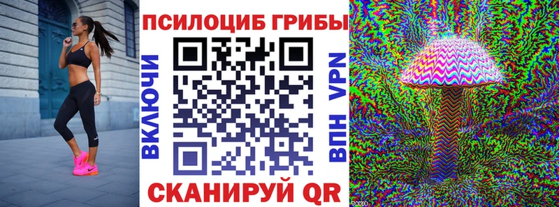 купить закладку  Бугуруслан  Галлюциногенные грибы GOLDEN TEACHER 